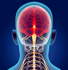 илюстрация на нервните канали на шийния отдел на гръбначния стълб