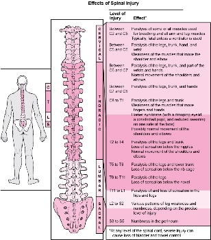 заболявания в организма, свързани с увреждане на различни части на гръбначния стълб